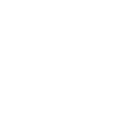 customer focused